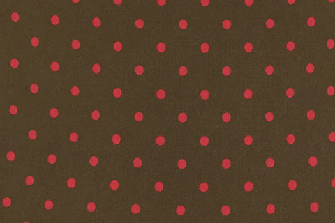 Billie Dress | Brown Polka Dot - Image 9