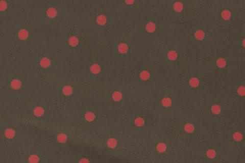 Blake Swim Shorts | Brown / Red Polka Dot - Image 7