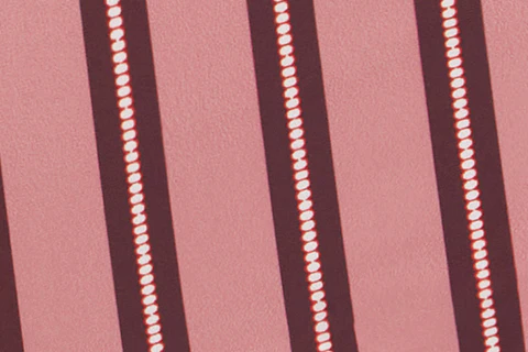 Blake Swim Shorts | Pink Stripe - Image 9