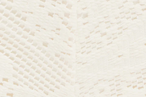 Dom Shorts | White Lace - Image 9