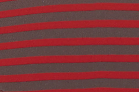 Jeanie Bikini Bottom | Red Stripe - Image 9