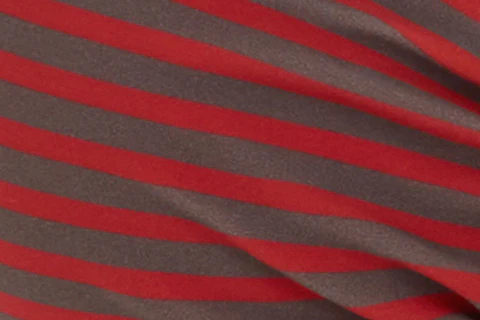 Jeanie Bikini Top | Red Stripe - Image 9