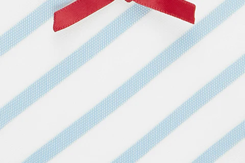 Juni Bikini Bottom | Blue / White - Image 9