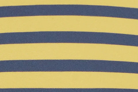 Juni Bikini Bottom | Multi Stripe - Image 11