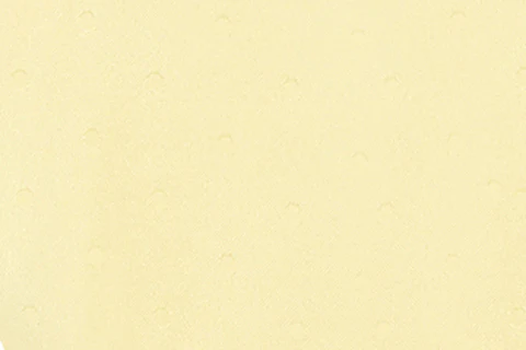 Juni Bikini Bottom | Pale Yellow - Image 9