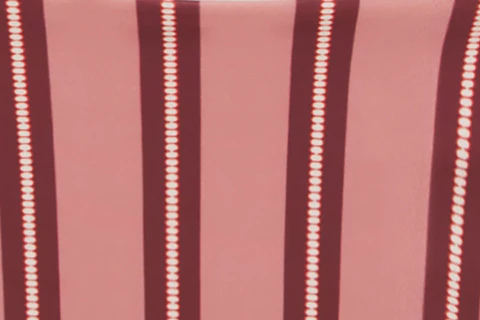 Juni Bikini Bottom | Pink Stripe - Image 9