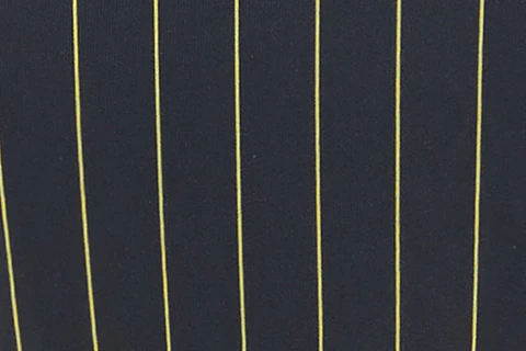Juni Bikini Bottom | Pinstripe - Image 9