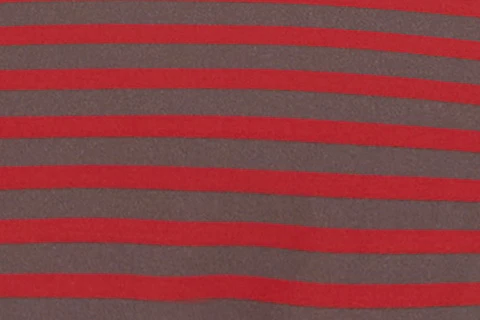 Juni Bikini Bottom | Red Stripe - Image 9