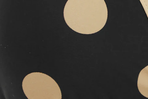 Juni Bikini Top | Beige Big Dot - Image 11