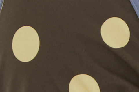 Juni Bikini Top | Layla Big Dot - Image 9