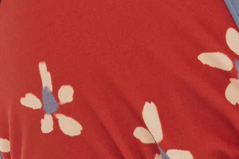 Juni Bikini Top | Red Bloom - Image 9