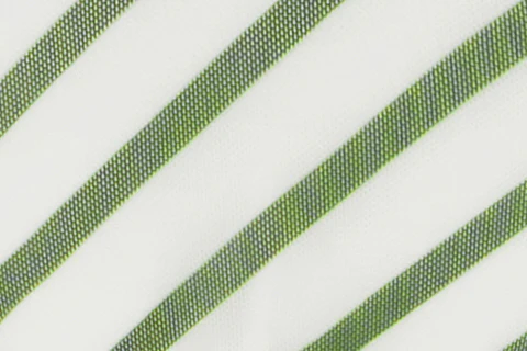 Lola Bikini Bottom | Green Stripe - Image 9