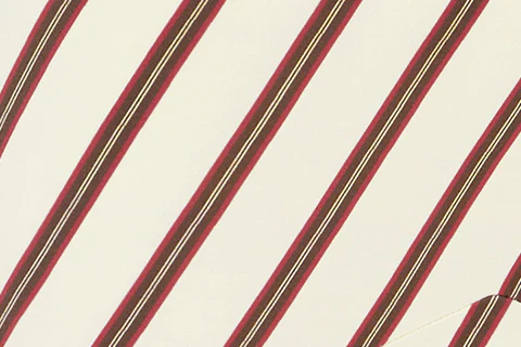 Maeve Midi Skirt | Stripe - Image 9