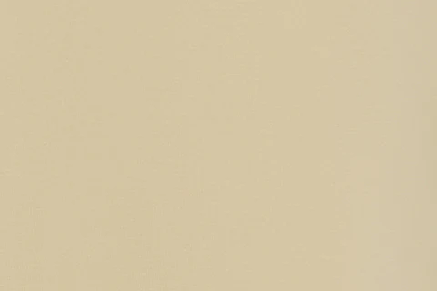 Pippa Top | Beige - Image 7