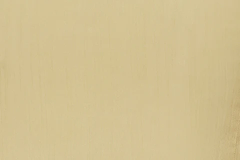Sasha Top | Beige - Image 11